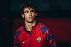 数据分析：底特律活塞队核心领袖—凯德-坎宁安现在到底是什么水平46亮263回复