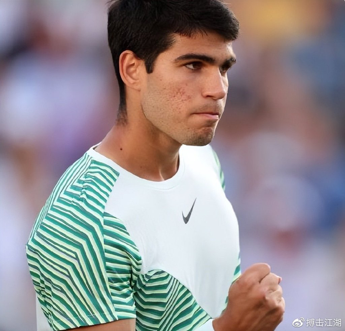 森纳在积分 森纳在积分